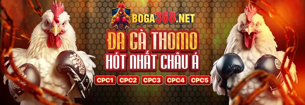 Tổng quan các trò chơi đa dạng tại SIN88